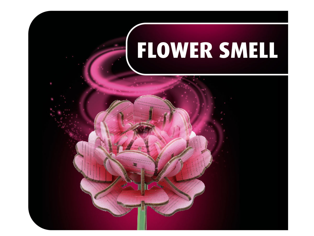 Flower Garden
