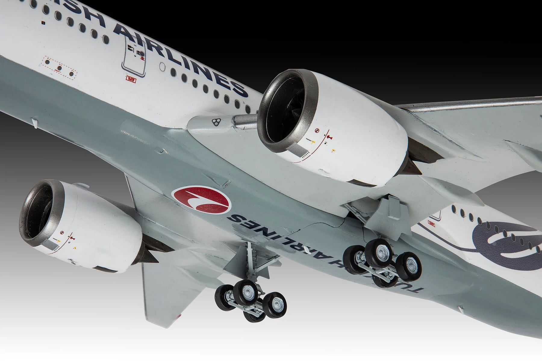Airbus A350-900 "Turkish Airlines"