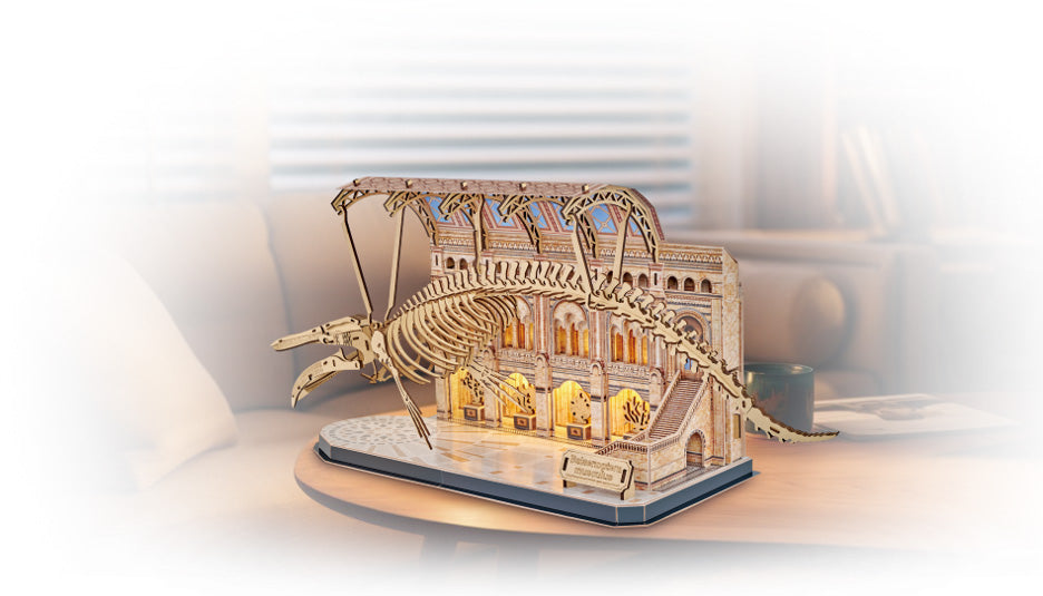 Natural Museum Blue Whale