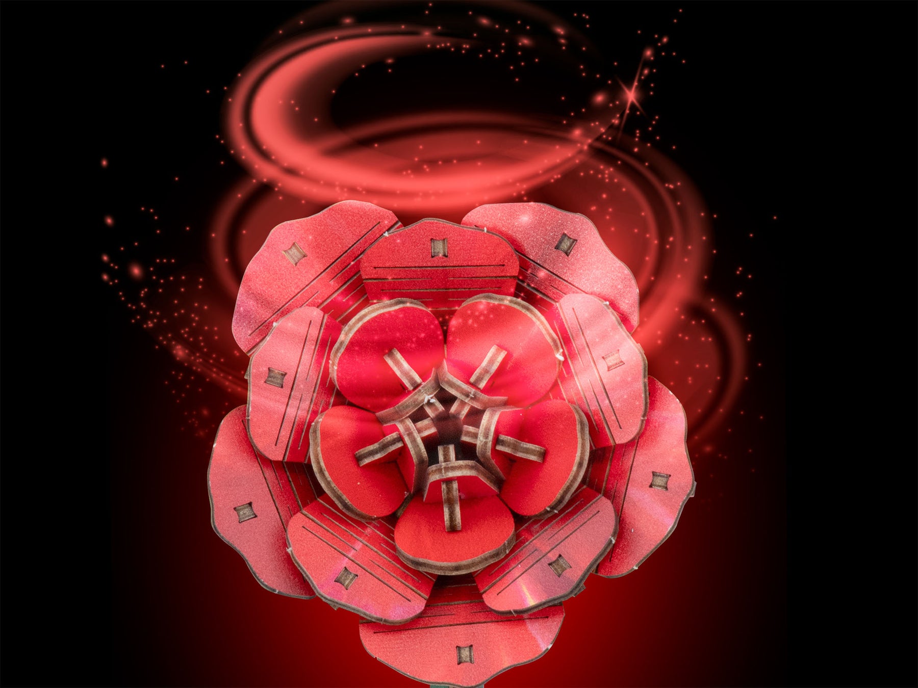 Dream of Roses