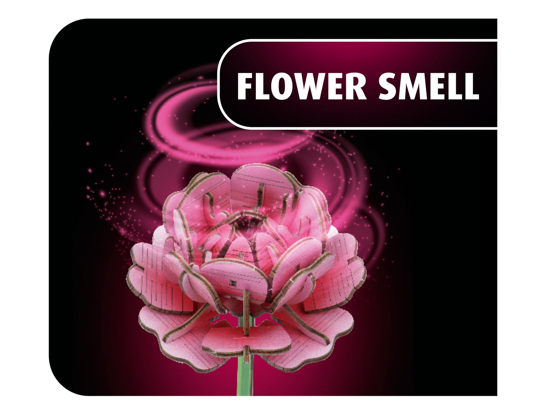Flower Garden