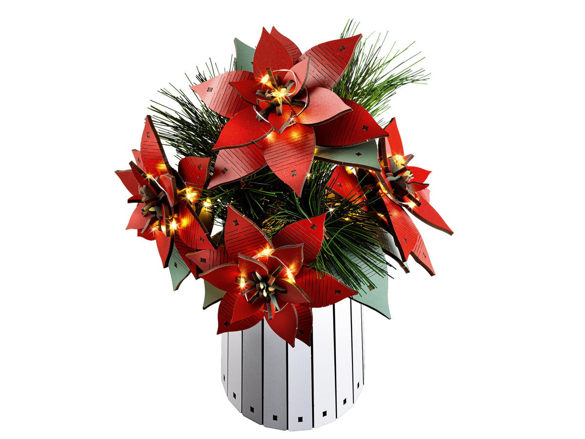 Poinsettia Christmas Flower