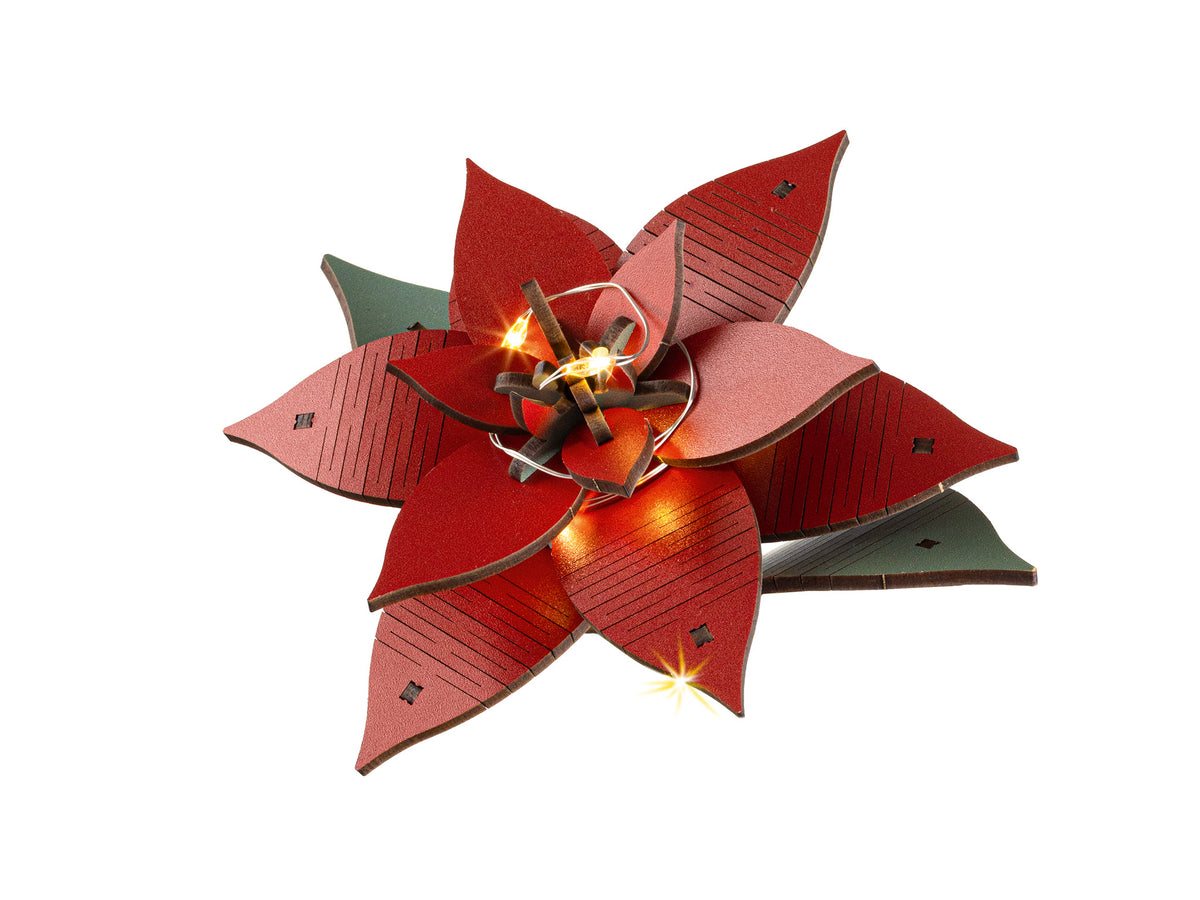 Poinsettia Christmas Flower