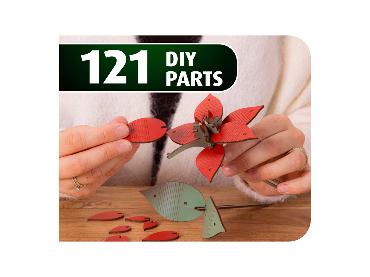 Poinsettia Christmas Flower