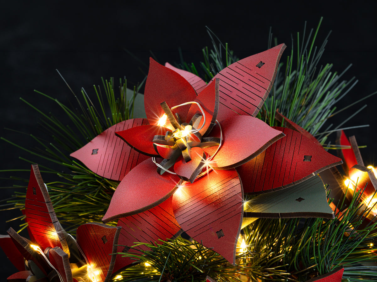 Poinsettia Christmas Flower
