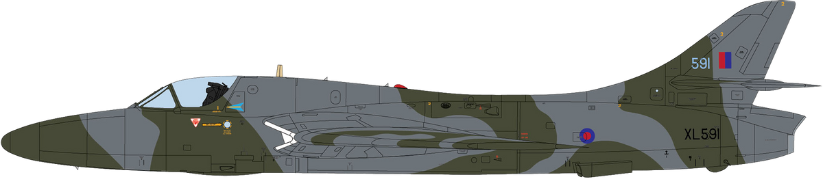 RAF mimetica