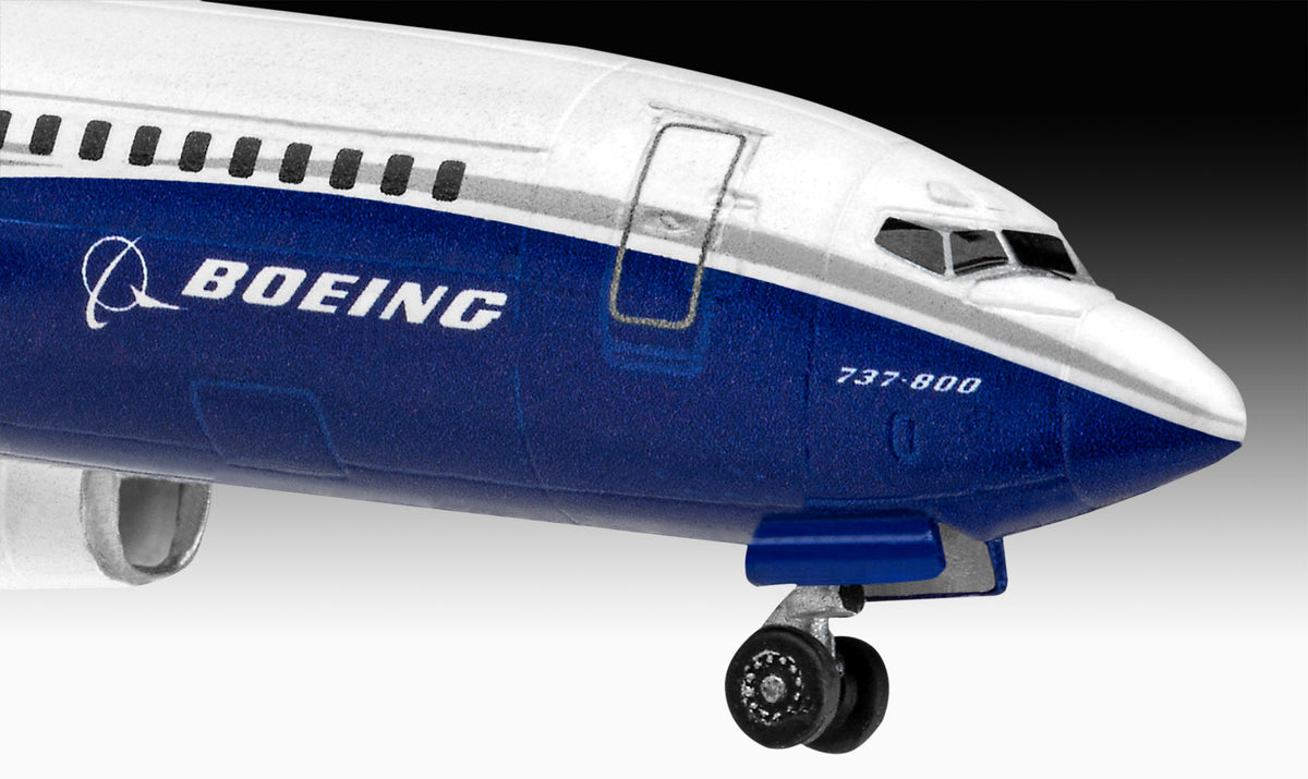 Boeing 737-800