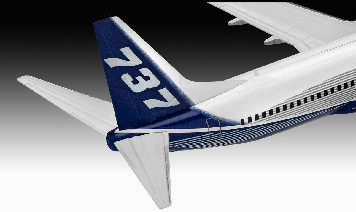 Boeing 737-800