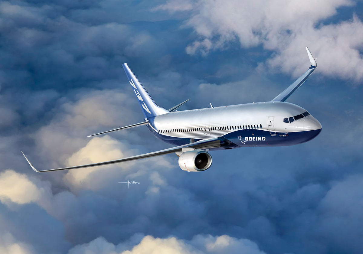 Boeing 737-800