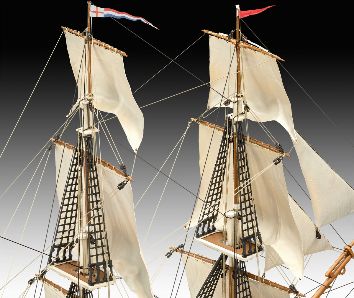 Darwin's Historical Discovery Barque H.M.S. Beagl