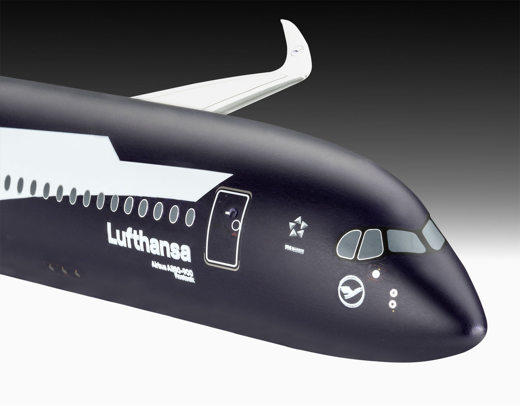 A350-900 Lufthansa 100 years