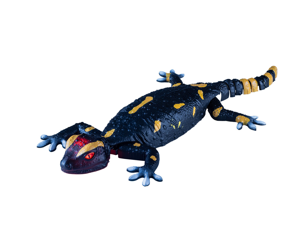 Robo Friends Salamanders