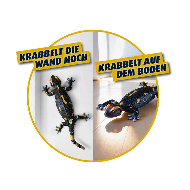 Robo Friends Salamander