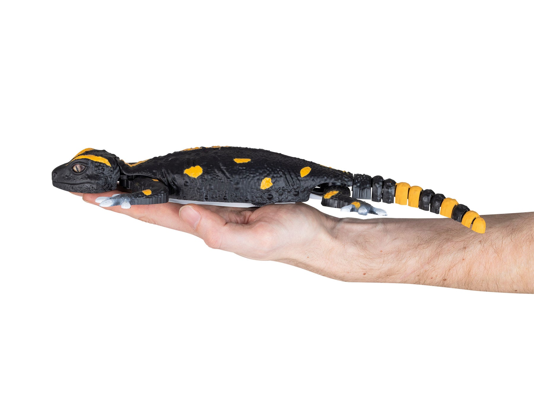 Robo Friends Salamander