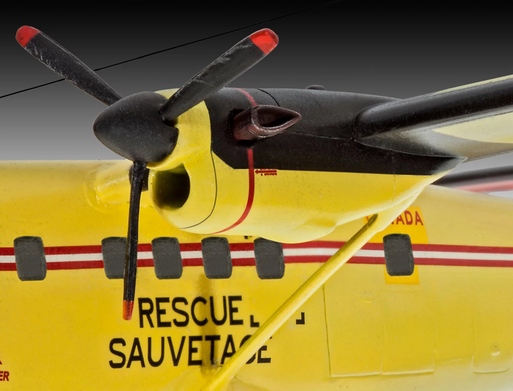 Lontra gemella DHC-6