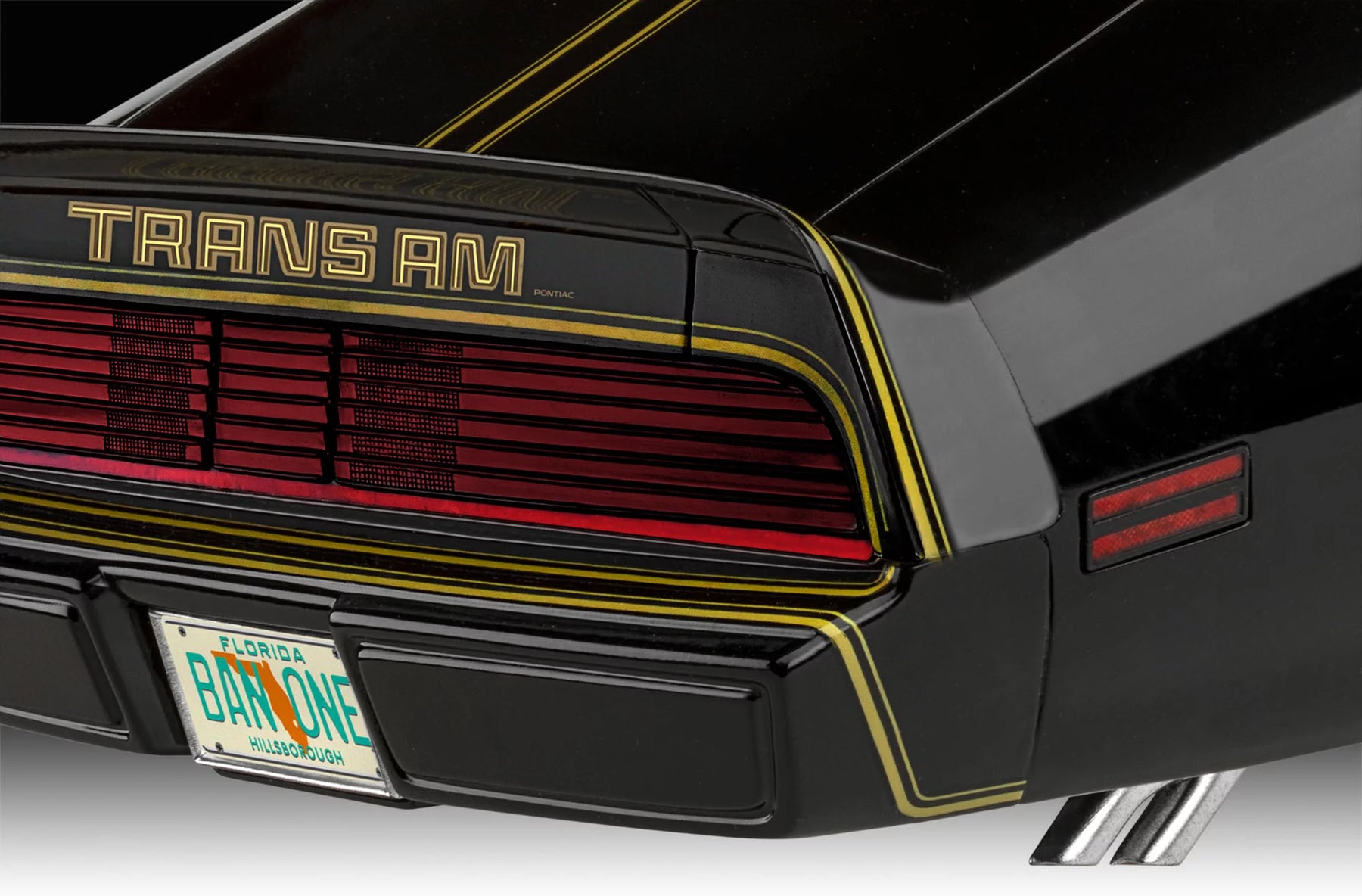 '79 Pontiac™ Firebird™ Trans Am